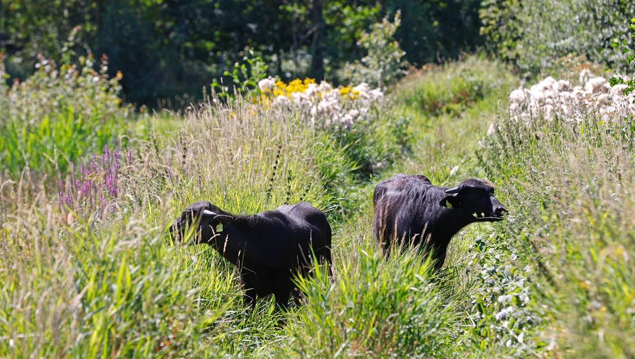 The preliminary work was lengthy and sometimes very difficul - Bild 2